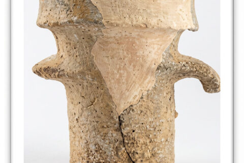 Nettoyage et restauration des fragments d’ amphore issus d’un milieu marin à Tipasa