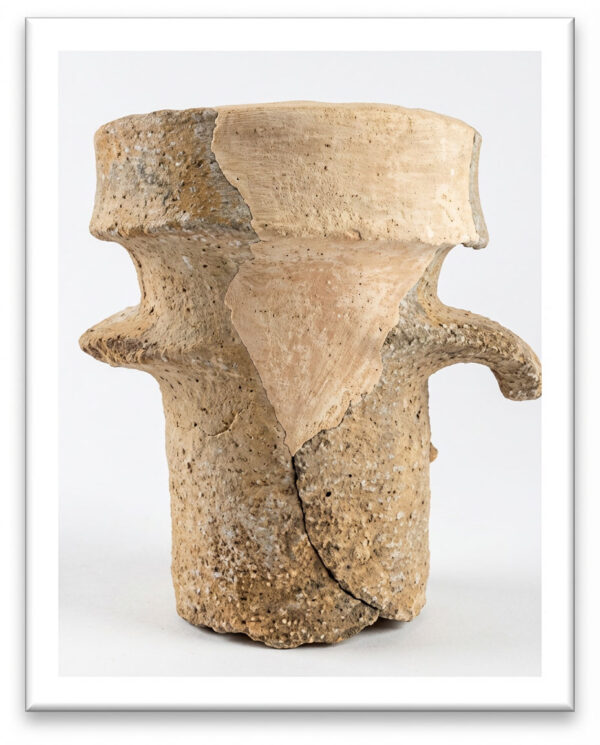Nettoyage et restauration des fragments d’ amphore issus d’un milieu marin à Tipasa