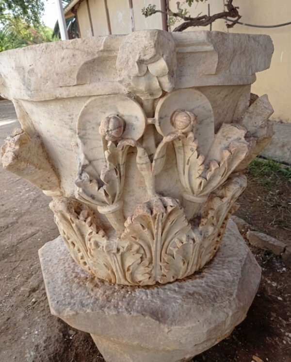 Conservation préventive d’un chapiteau en marbre restauré de la période romaine « musée de Tipasa »