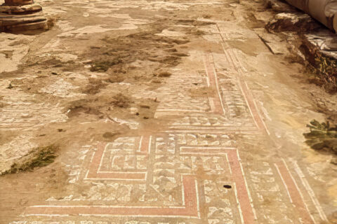 Etude de conservation de la mosaïque de la grande Basilique du parc Ouest de Tipasa